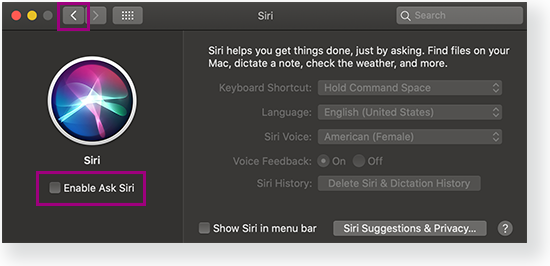 TestNav 8 > Access TestNav on your Home Computer or Device > TN_MacDisableSiri2.png