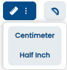 Ruler options menu