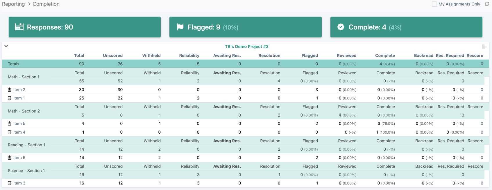 Completion Report
